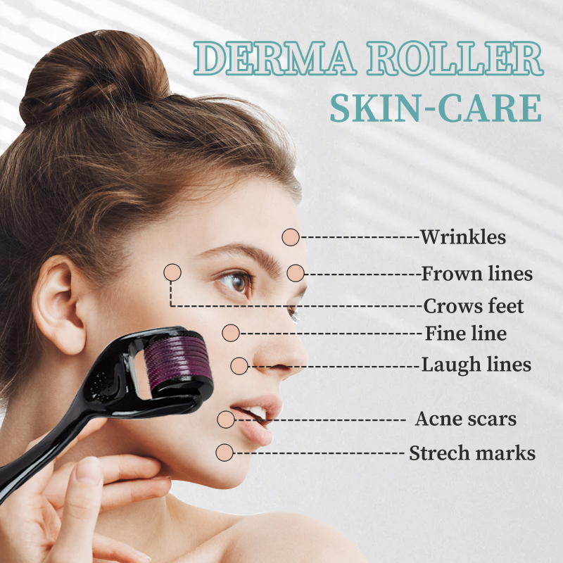 Professional 540 Roller Derma  - đánh giá và giá Derma Roller 0.25