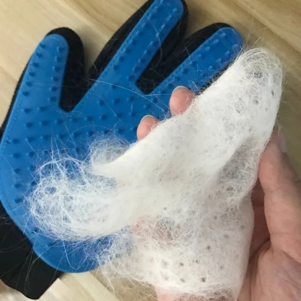 Pet Cat Dog Grooming Gloves Ca - đánh giá và giá Hair Spa Wellness