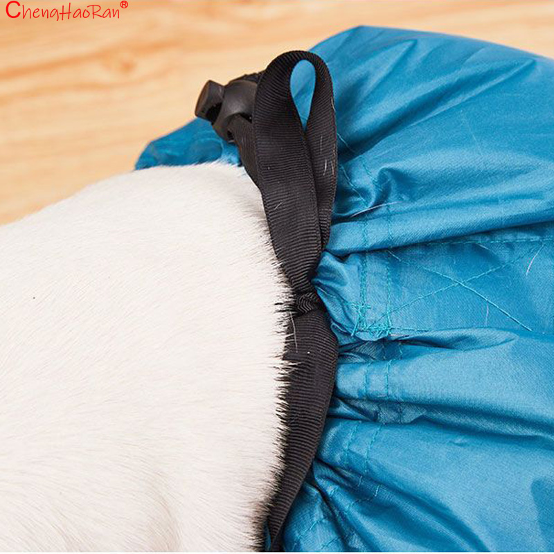 1Pc Pet Drying Bag Hair Dryer  - đánh giá và giá Hair Spa Wellness